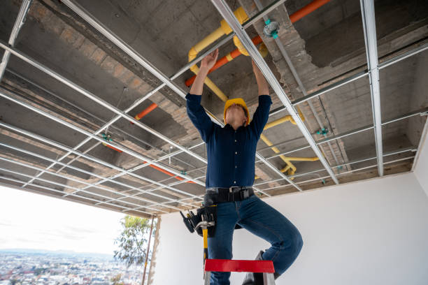 Best Plumbing Inspection Services  in Camp Hill, PA